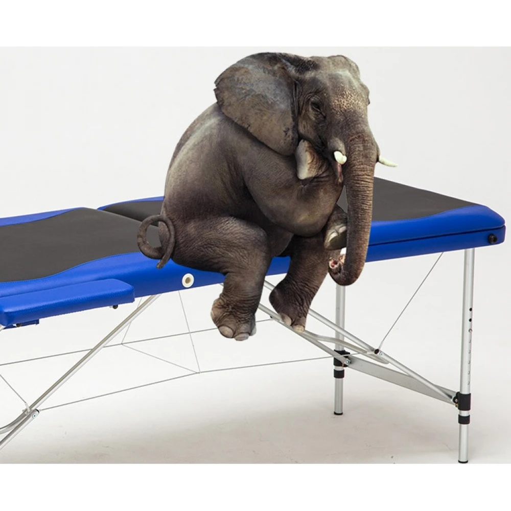 Masă masaj premiun, 220 cm x 70 cm cu înălțime reglabilă, Pat masaj ușor, din aluminiu, cu 3 zone, portabil cu husă și toate accesoriile, SPA, cosmetică, tatuaje, aplicare gene Masă masaj premiun, 220 cm x 70 cm cu înălțime reglabilă, Pat masaj ușor, din aluminiu, cu 3 zone, portabil cu husă și toate accesoriile, SPA, cosmetică, tatuaje, aplicare gene